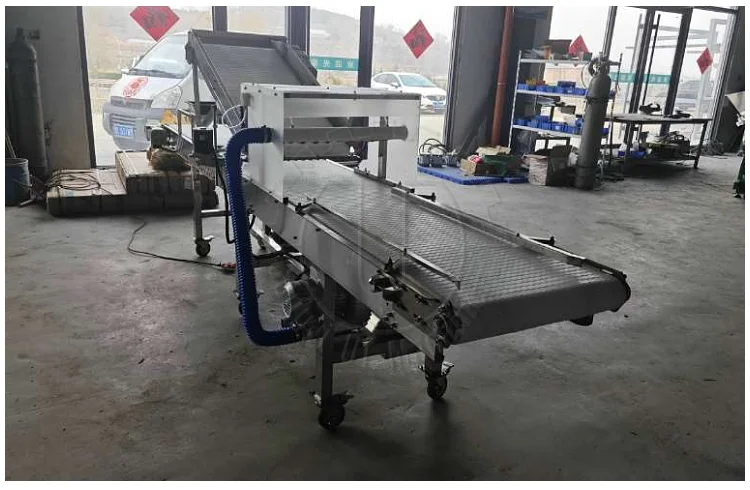 Quick-Cut Greens Harvester Automated Microgreen Tray Seeding Machine Microgreen Tray Harvesting Machine with Conveyor Belt