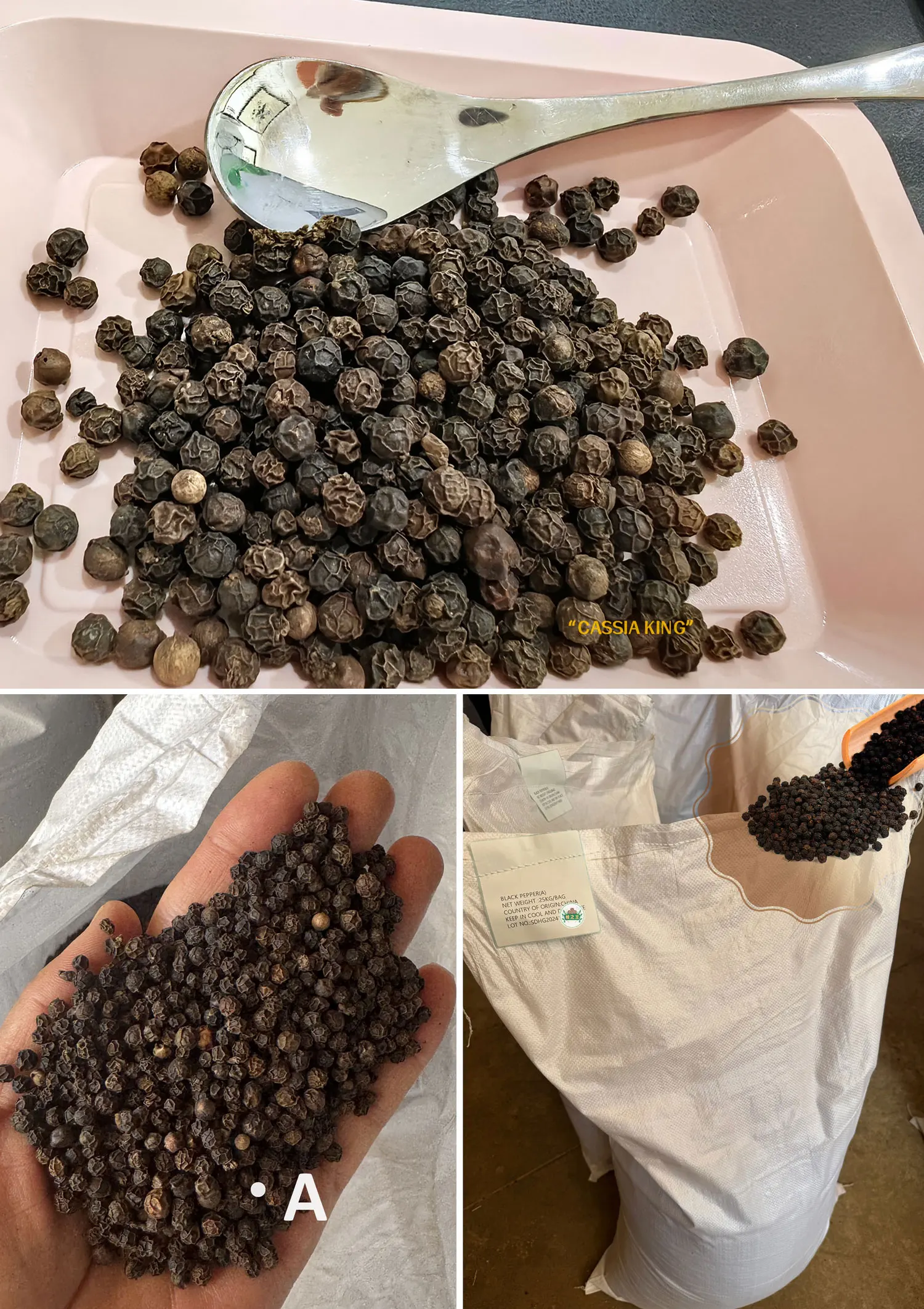 NlkHanm Duca V2 V2S Sceite Gluaisrothar Córas Ti Iomlán Modhnú Temi Seasamh  Ard Dual Muffler Panigale 2025- Dubh ón tSín monaróir - Jilang Gluaisrothar  Sceite Systems, image size:1500x2125