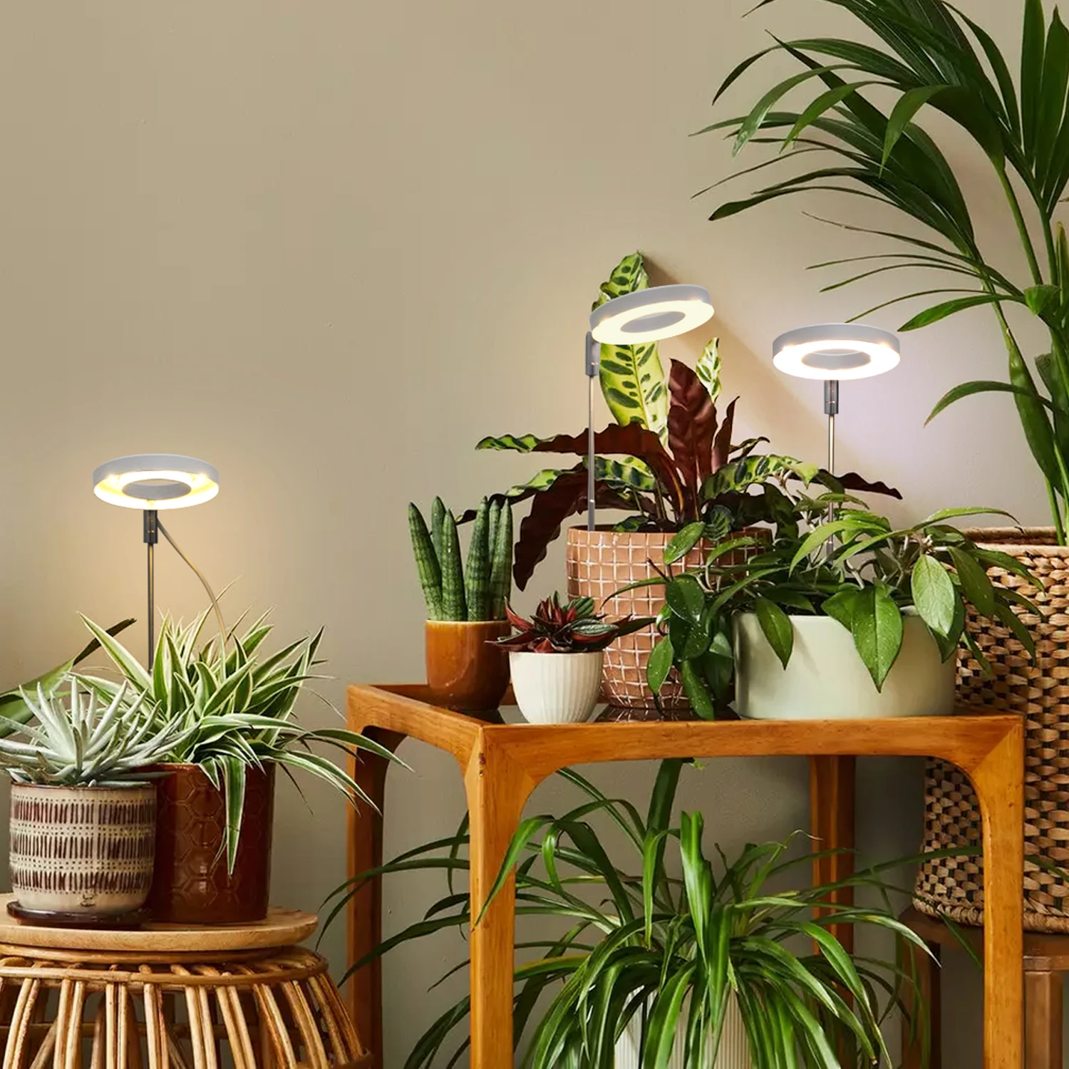 Kreativitt 5V Vollspektrum-LED-Pflanzenlampe  Mini-Engelsring-Wachstumslampe fr Zimmerpflanzen, Wachstumslampe mit  3/9/12 H