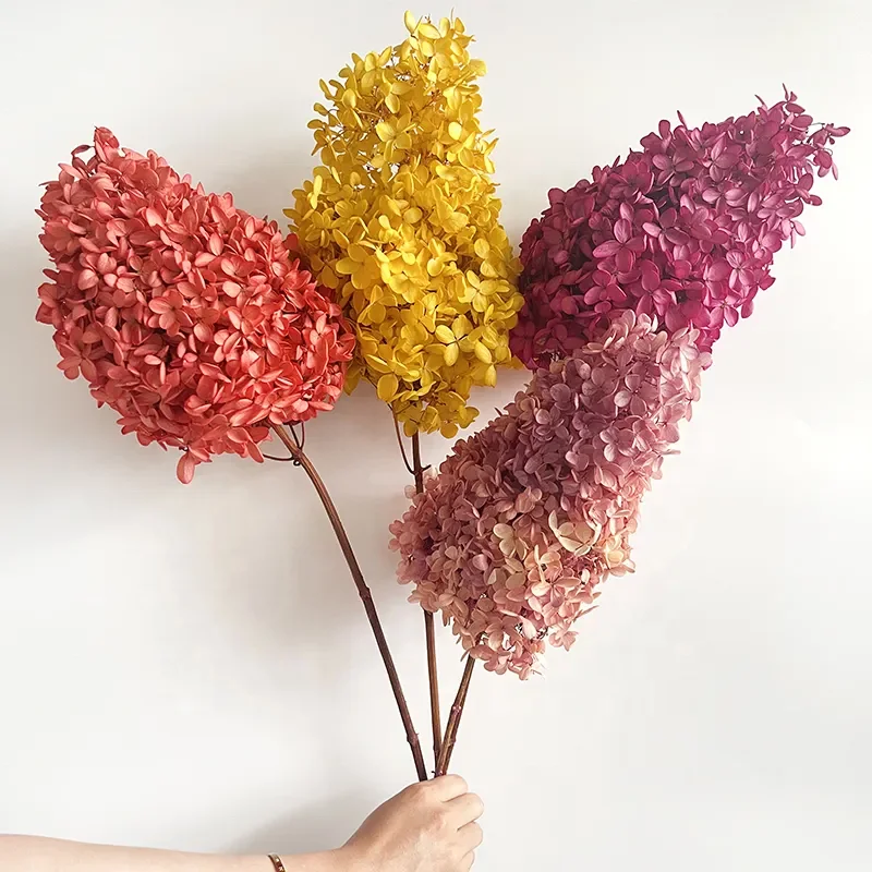 Wholesale Dry Hydrangea Dried Flowers Plants Preserved Pagoda Wood Hydrangea Flowers Buy Dried