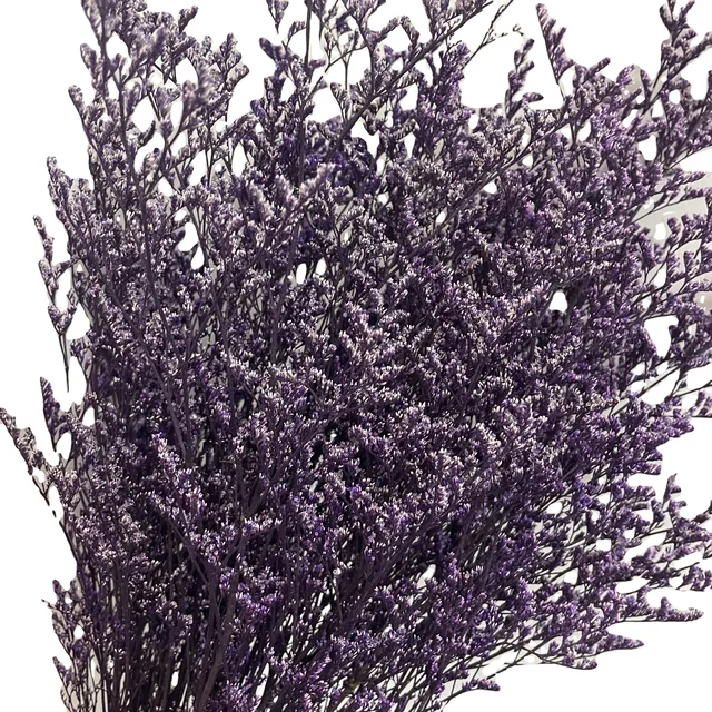 preserved natural dried flowers wholesale caspia Misty Limonium Preserved Limonium Flowers grass preserved flowers and plants