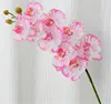 Rosa Spot