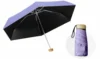 VIOLETA