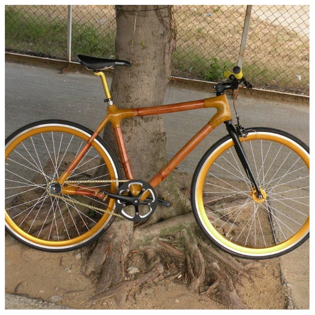 bamboo fixie