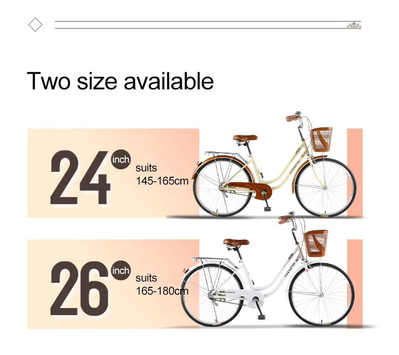 Road Bike 24 Inch Travel Commutre Retro 