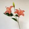 สีส้ม