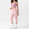 Purple + Pink