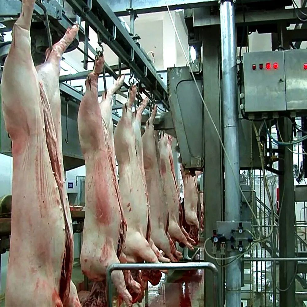 Complete set of pig slaughterhouse production pork slaughtering line machine