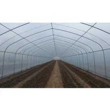 32mm Round Pipe 8x30m PO Film Plastic Green House Single Tunnel Agricultural Greenhouse