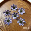 Azul deslumbrante