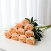 Orange(Snow Mountain Rose)