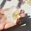 1 pcs color 6