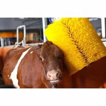 Dariy Farm Equipment Automatic Scratching Cow Spining Brush with Motor for Cattle  Massage
