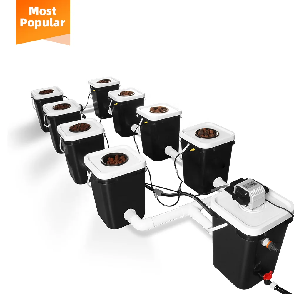 Sunplus Rdwc Automatic Garden Irrigation System Dwc Hydroponic Bubble 5 Gallon Dutch Bucket for Greenhouse