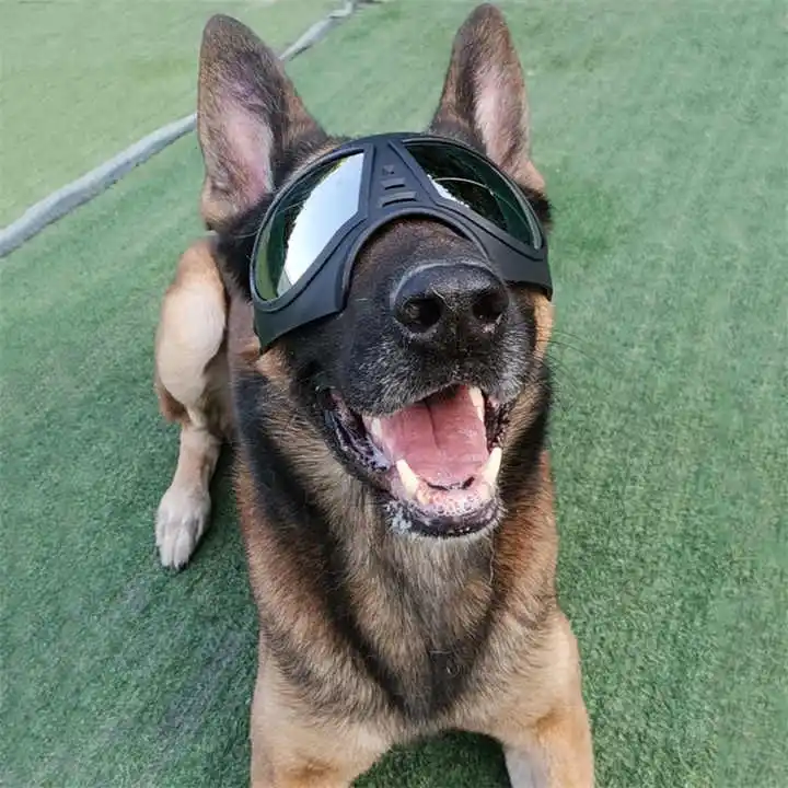 K9 Helmet Shape Dog Tactical Helmet With Glasses Design High Quality