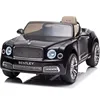 Negro (Equipado con control remoto R/C)
