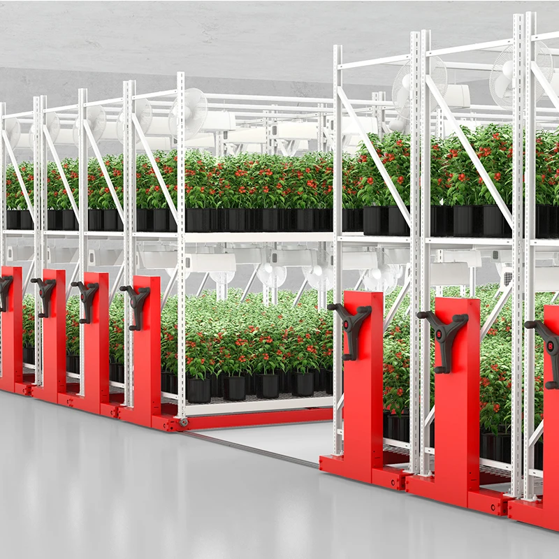 Agriculture Vertical Farming,Aquaponics System For Fish And Vegetable ...