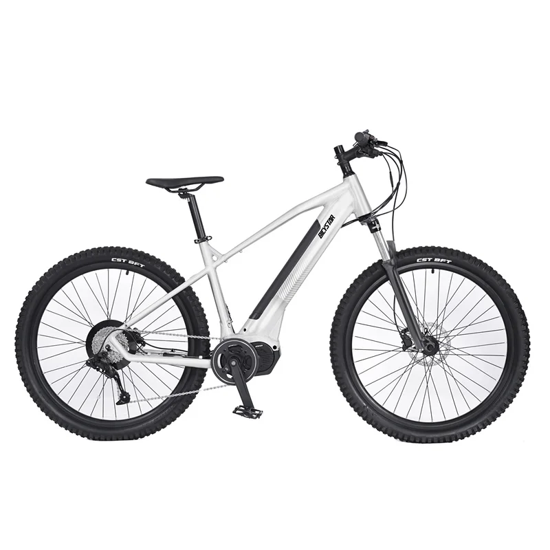 J Electric Bike 28 29 Inch Bicycle Mountain Bike Full Suspension 750w
