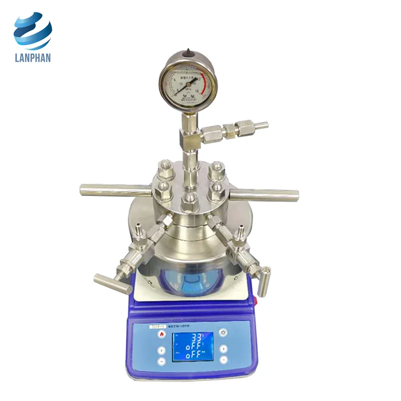 Lined Hydrothermal Synthesis Autoclave Reactor