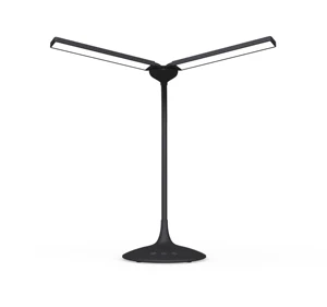 Two in One Led Book Cordless Reading Desk Lamp with Two Lamp Heads, Portable Lamp with Rechargeable Battery