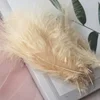 สีกากี