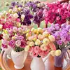6# Lianthus grandiflorum di colore misto