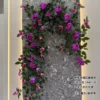 Rose violette du soir - tailles et variétés de fleurs mélangées