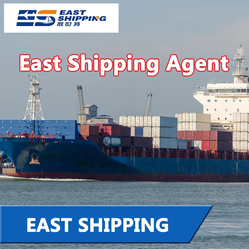 Cargo Agency Agent Professional Door To Door Delivery Service Container Shipping To Chile