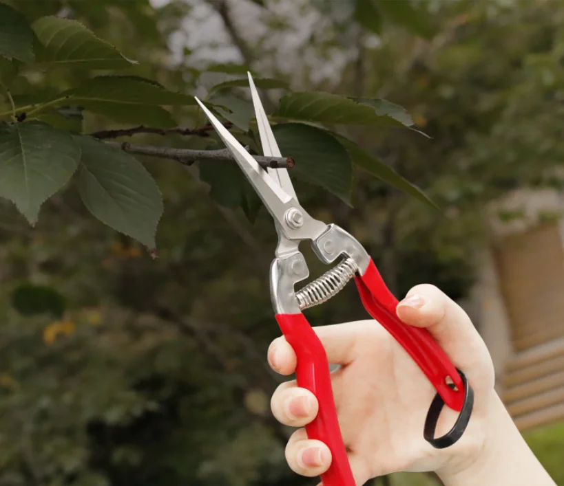 Factory Professional Tree apple Fruit Branches Garden Scissors Pruning Shears With Stainless Steel Blade