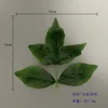 Large Peony Leaves