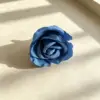 Rosa azul zafiro