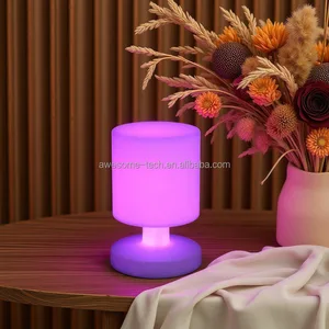Modern Portable Rechargeable LED Table Lamp Waterproof Plastic Indoor Decorative Lamp