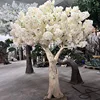 pequeño cerezo