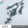 Flor de colza CM Azul