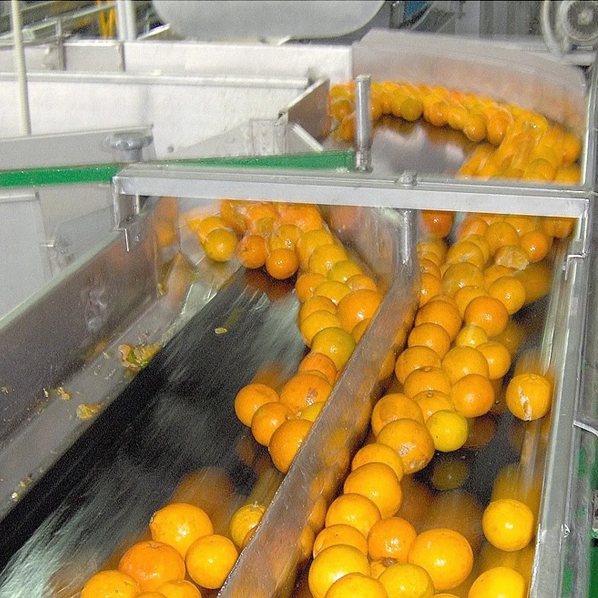 Fresh Orange Concentrate Juice Production Line