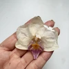 1 pcs color 33