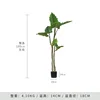 Simulated Rainbow Taro 180CM