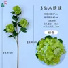 Hortensia de 3 cabezas DG Green