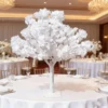 White 02