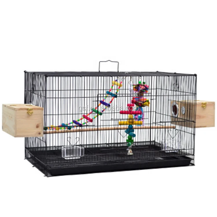 Wholesale bird hot sale distributors