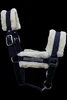 Azul Marino