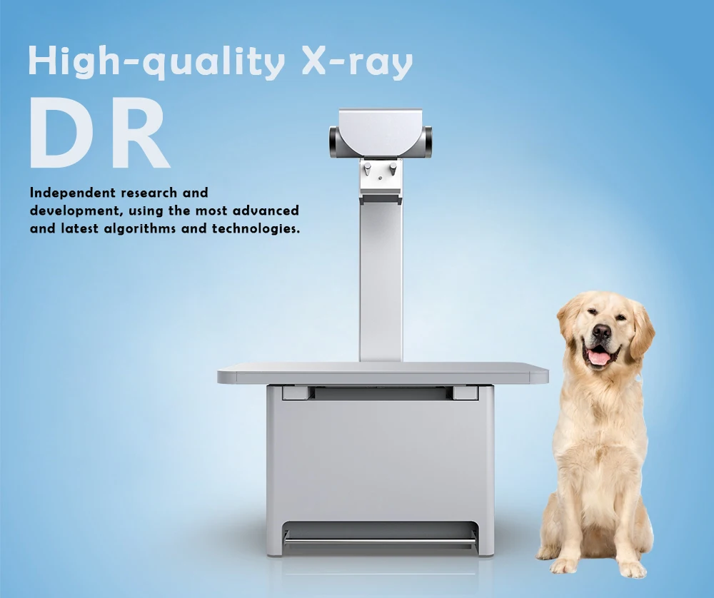 Pet Hospital Vet Digital X-ray Machine Veterinary Xray For Pets - Buy ...