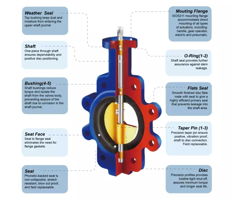 High Performance API609 4 Inch  Manual 304 Stainless Steel Lug Type Cast Iron butterfly Valve