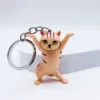 Cat 1