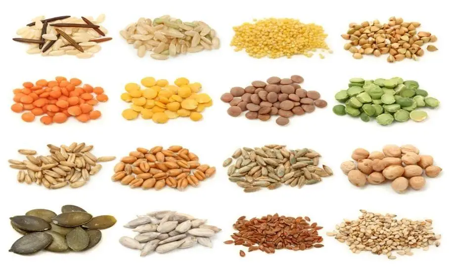 Manual Corn Mill Sesame Powder Making Commercial Pepper Grinder Wet Rice Multipurpose Grinding Machine