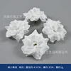 Small white rose petals