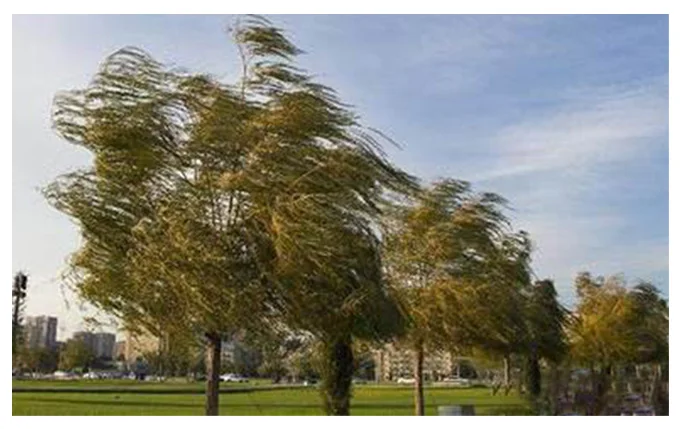 Flat Pack Container House with Bathroom and Kitchen Flat Pack Container House with Bathroom and Kitchen