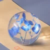 Blue Hydrangea
