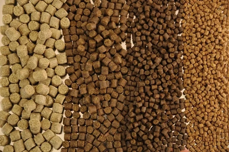 Fish Feed Making Extruder