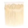 613 13x4 lace frontal straight